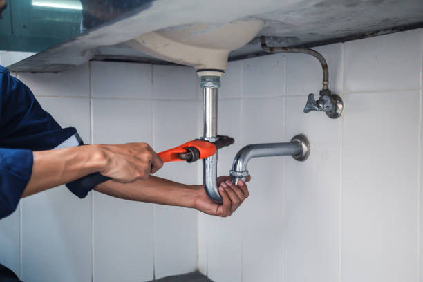 Best Clogged Drain Plumber  in Oak Forest, IL