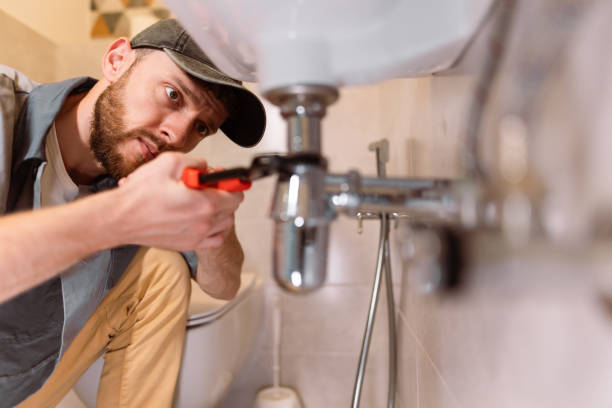 Best Commercial Plumbing Services  in Oak Forest, IL